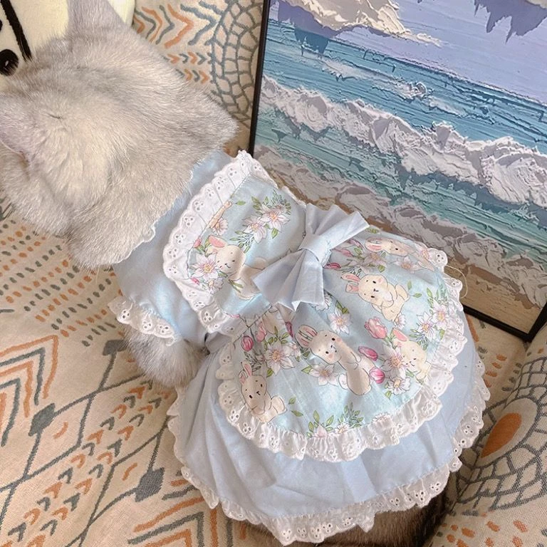 Haustier niedlichen Schürze Kl – Lace Teddy Lingerie Bewertung und Preis
